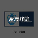 全日本U-12サッカー選手権大会　ピンバッジ