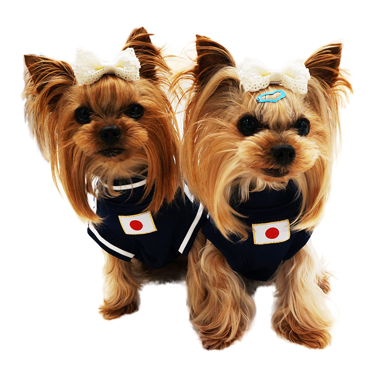 ドッグウェアサッカー日本代表ver.