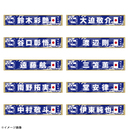 プレーヤーズタオルマフラー STADIUM LINE 画像5