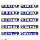 プレーヤーズタオルマフラー STADIUM LINE 画像6