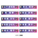 【EC限定受注商品】プレーヤーズプリントタオルマフラー(なでしこジャパン)2026.3※2026年5月下旬頃より順次発送予定 画像2