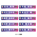 【EC限定受注商品】プレーヤーズプリントタオルマフラー(なでしこジャパン)2026.3※2026年5月下旬頃より順次発送予定 画像3