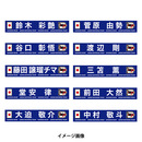 オンラインストア限定(受注販売)プレーヤーズプリントタオルマフラー2026.3※2026年6月上旬頃より順次発送予定 画像2