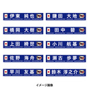 オンラインストア限定(受注販売)プレーヤーズプリントタオルマフラー2026.3※2026年6月上旬頃より順次発送予定 画像3