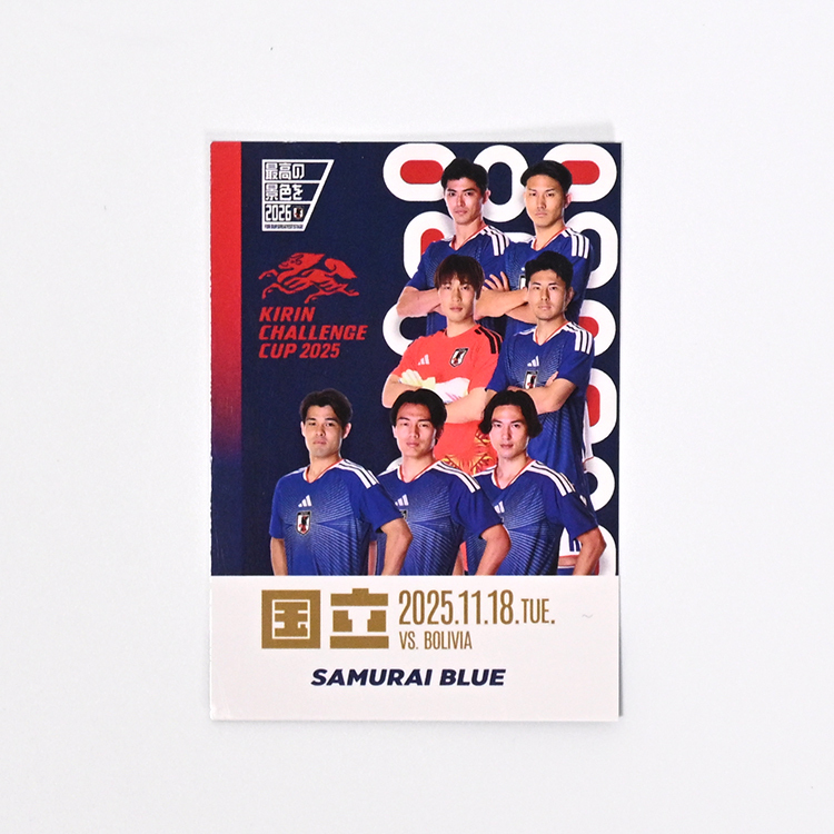 カードキーホルダー STADIUM LINE